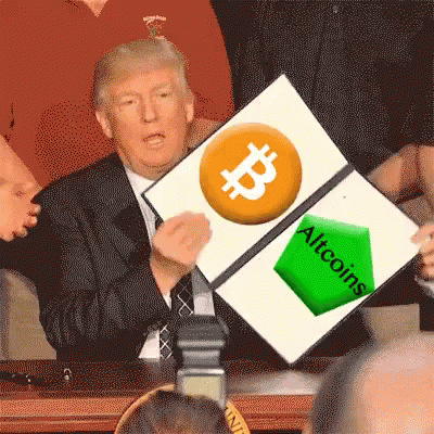Bitcoin Altcoins GIF - Bitcoin Altcoins Donald GIFs
