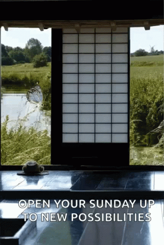 Butterfly Open Your Sunday Up GIF - Butterfly Open Your Sunday Up New Possibilities GIFs