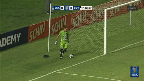 Kick Csa Vc Botafogo GIF - Kick Csa Vc Botafogo Soccer Ball GIFs