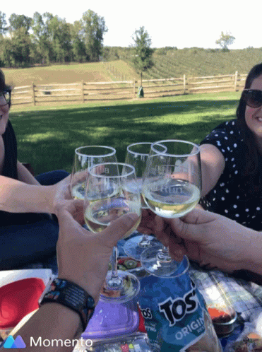 Cheers Wine Country GIF - Cheers Wine Country Day Out GIFs