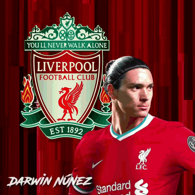 Darwin Nunez Liverpool GIF - Darwin Nunez Liverpool Liverpool Fc GIFs