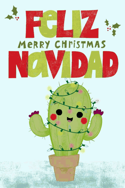 a christmas card with a cactus and the words feliz merry christmas novdad