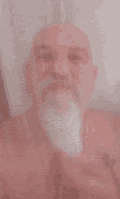 a man with a beard and mustache is taking a selfie