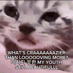 a close up of a cat 's face with the words " what 's craaaazazier than loooooving more "