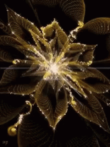Floral Abstract GIF - Floral Abstract Black GIFs