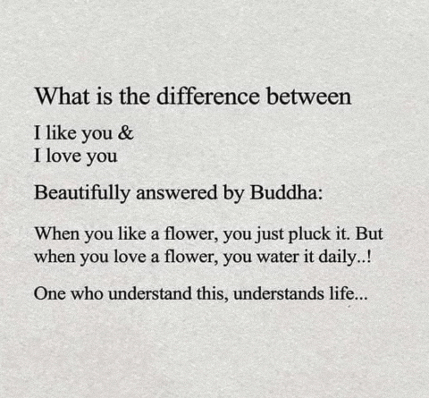 the difference between i like you and i love you beautifully answered by buddha .