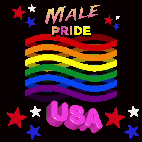 a black background with a rainbow and the words male pride usa on it