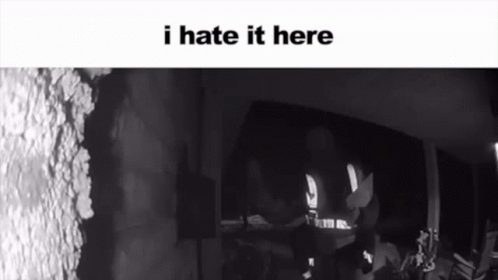 I Hate It Here Get Me Outta Here GIF - I Hate It Here Hate It Here Get Me Outta Here GIFs