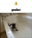 a picture of a frog in a bathtub with a yellow warning sign .