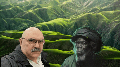 a man with glasses and a mustache is standing in front of a green mountain