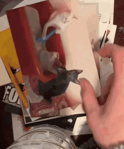 a person holding a piece of paper with a picture of a cat on it