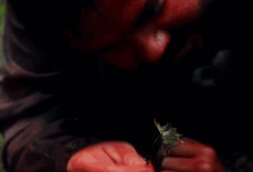 a man with blood on his face is holding a flower
