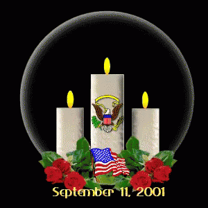 911 September 11 GIF - September11 911 Never Forget GIFs