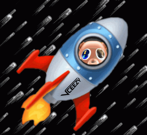 Vceezy Rocket GIF