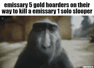 a monkey with a caption that says emissary 5 gold hoarders on their way to kill a emissary 1 solo sloooper