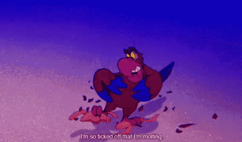 a cartoon of a bird with the words i 'm so ticked off that i 'm molting below it