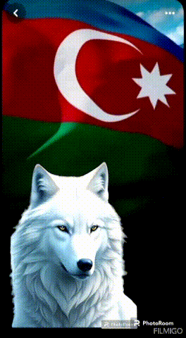 a white wolf in front of a flag with a crescent moon and star