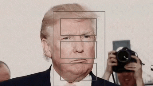 Donald Trump Trump GIF - Donald Trump Trump President GIFs