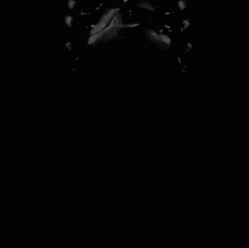 Skellie GIF - Black Skeleton Skellie GIFs