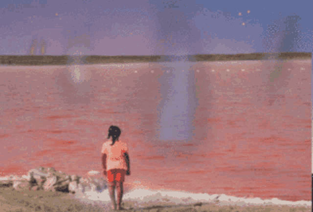 a girl in a pink shirt and red shorts stands on the beach