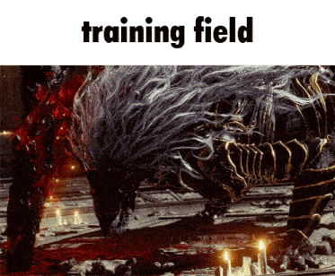 a picture of a monster with the words " training field " below it