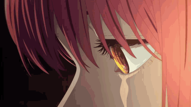 a close up of a girl 's eye with a red hair color