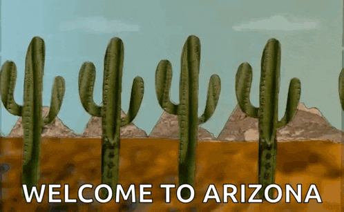 a welcome to arizona sign with cactus and mountains