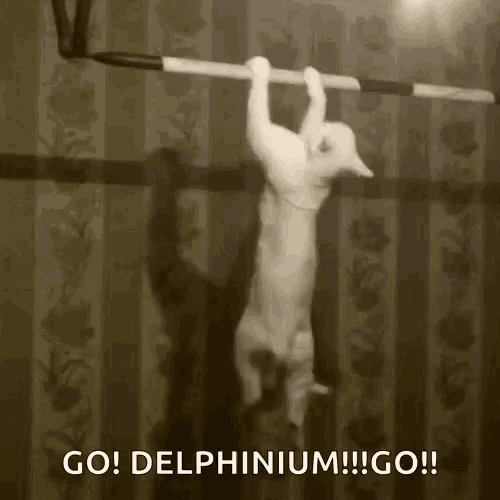 Funny Animals Cat GIF - Funny Animals Cat Exercise GIFs