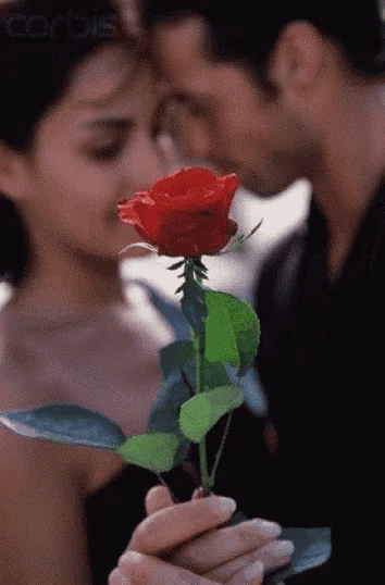 a woman is holding a red rose in front of a man who is kissing her on the forehead