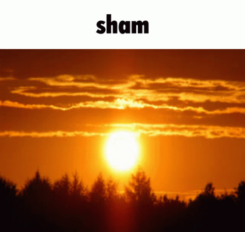 Sham Hanamuraas GIF - Sham Hanamuraas Genshin Impact GIFs