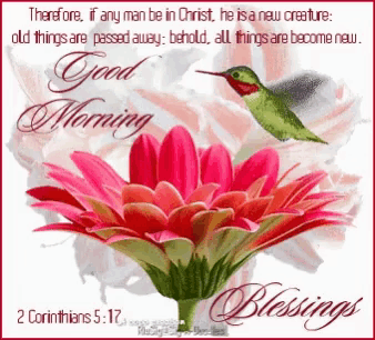 a picture of a flower with a hummingbird on it