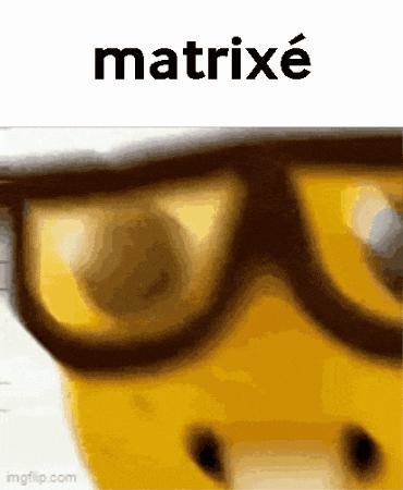 a close up of a person wearing glasses with the word matrixe on top