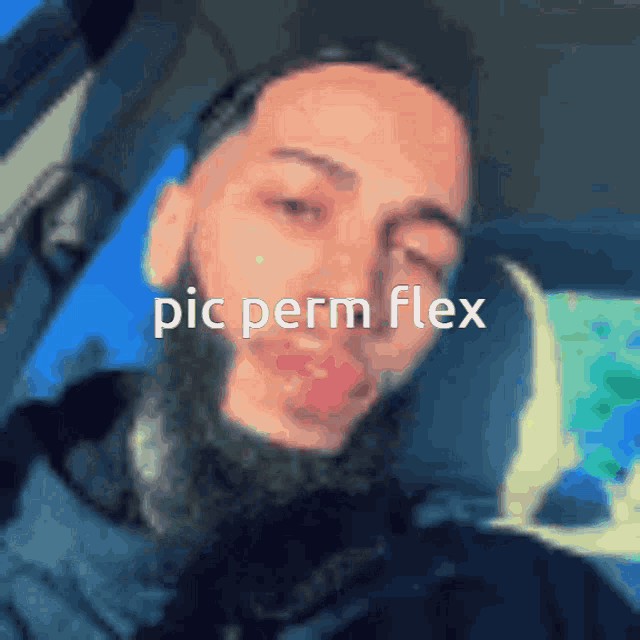 a man with a beard is sitting in a car with the words " pic perm flex " above him