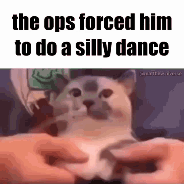 Opps Silly Dance GIF - Opps Silly Dance Cat GIFs
