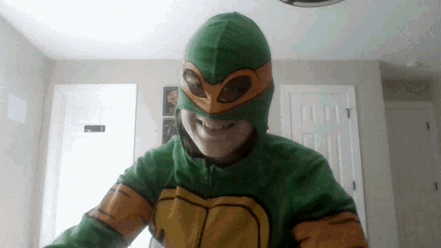 Turtle Ninja Turtle GIF - Turtle Ninja Turtle Ninja GIFs