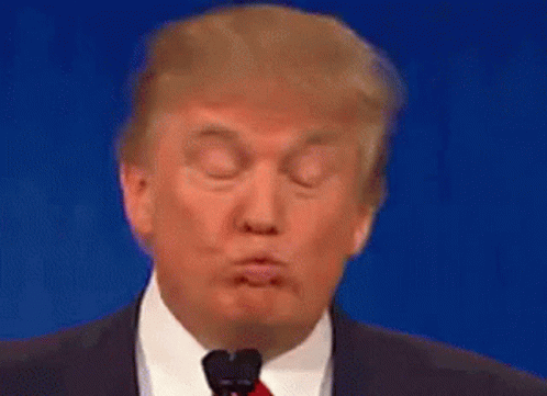 Kiss Me Donald Trump GIF - Kiss Me Donald Trump Us President GIFs