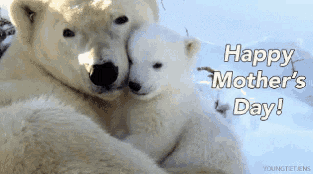 two polar bears hugging with the words happy mother 's day