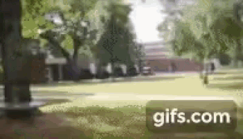 a blurry picture of a park with trees and a gifs.com button .