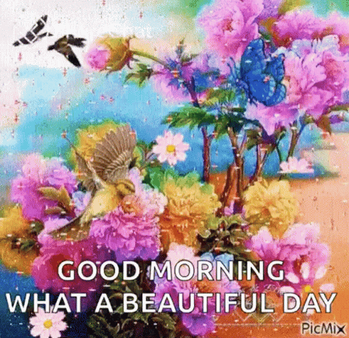 Good Morning What A Beautiful Day Flowers GIF - Good Morning What A Beautiful Day Flowers Birds GIFs