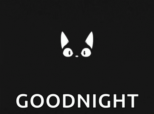 Go To Sleep Goodnight GIF - Go To Sleep Goodnight Cat GIFs