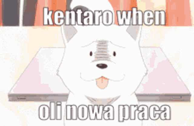a picture of a dog with the words kentaro when oli nowa praca written on it