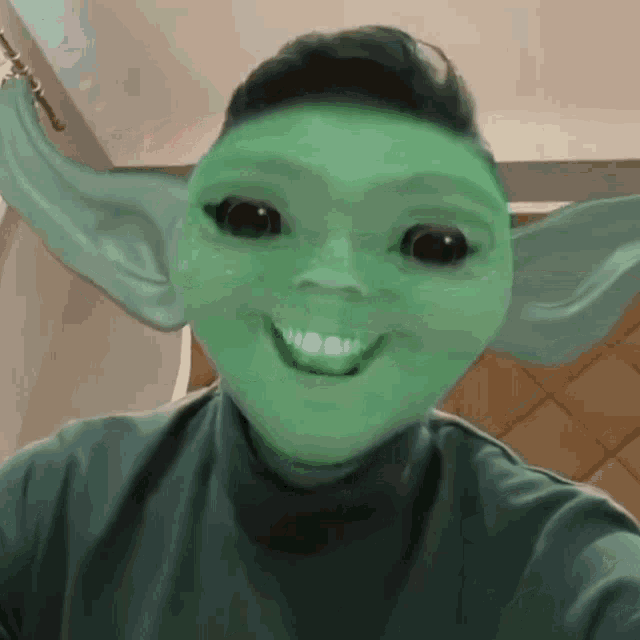 a person is wearing a green mask with big ears