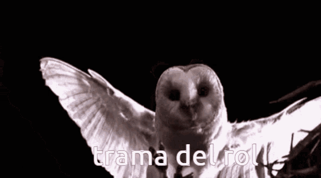 a white owl with its wings outstretched and the words trama del rol written on the bottom
