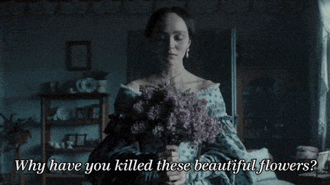 why have you killed these beautiful flowers