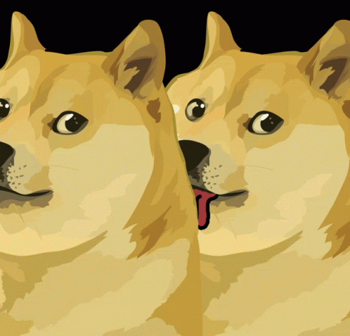 Doge Doge Coin GIF - Doge Doge Coin GIFs