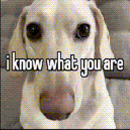 a pixelated image of a dog with the words " i know what you are " on it