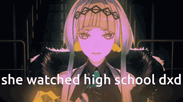 a picture of a girl with the words " she watched high school dxd "