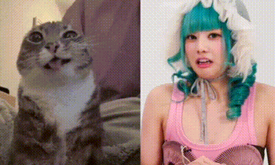 a cat and a woman with green hair are shown side by side .