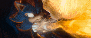 sonic the hedgehog and shadow the hedgehog are fighting each other in a video game