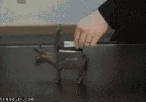 a person is putting a piece of paper in a donkey figurine